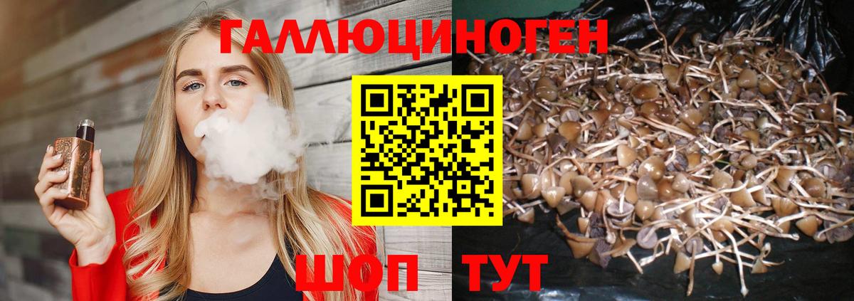 Псилоцибиновые грибы Magic Shrooms  Вход с VPN  где купить наркотик  Буйнакск 